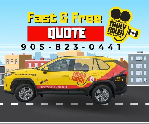 Truly Nolen Pest Control & Exterminators Oakville in Oakville