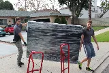 Lions Moving Company