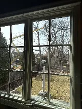 Crawford Tree & Landscape Services, Inc. photo 5