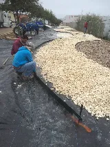 Laredo Lawn, Inc. photo 4