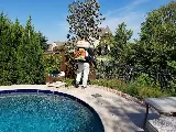 Myles Pest Services photo 5