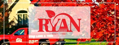 Ryan Lawn & Tree photo 1
