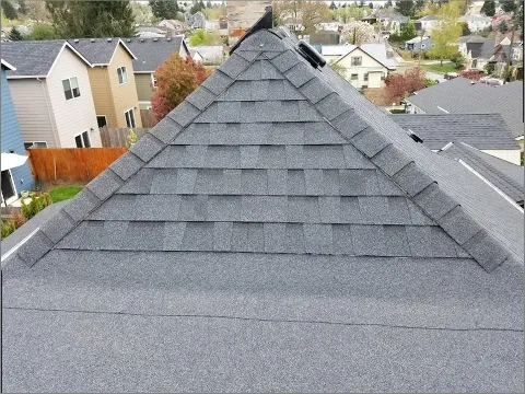 Lake Michigan Roofing Pro photo 1