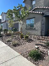 Desert Palms Landscaping photo 3