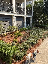 Gordon's Lawn & Landscape photo 5
