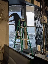 The Window Films Company