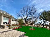 Splendid Gardens Landscaping photo 10