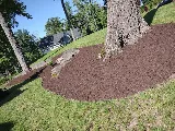 Rivera's Lawn Care & Landscaping LLC photo 7