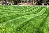 19.3 Landscaping photo 2