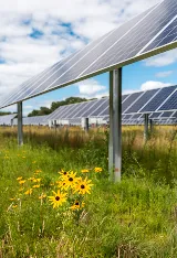 US Solar photo 3