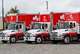 Best Moves | Nanaimo Movers photo 3