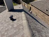 Moss Roofing Houston photo 5