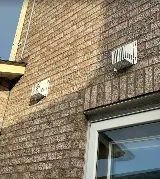Bug Managers Pest Control photo 3