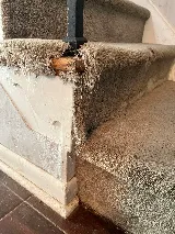 Armstrong Carpet Repair photo 4
