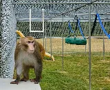 Pointe Pest Control - Vancouver photo 7