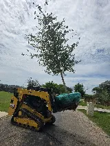 Blue J Landscape And Tree Service LLC photo 5