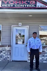 York's Pest Control