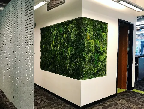 VERDE VERTICAL INC photo 1