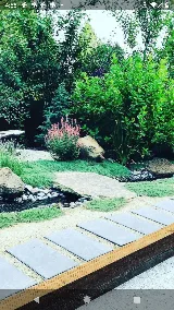 Organicscapes INC. photo 7