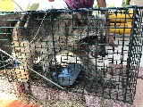 Pest Control Pro, LLC photo 7