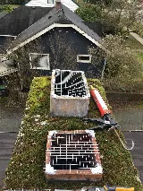 Knockout Pest Control photo 7