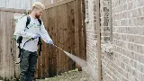 T-Rex Pest Control