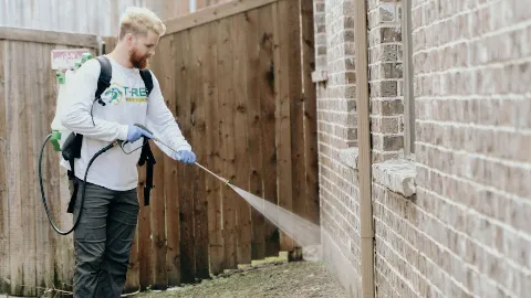 T-Rex Pest Control in Garland