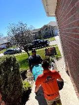 Visor Guys (Movers Windsor photo 4