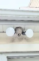 Jerry's Pest Control Service