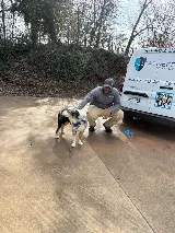 ClearDefense Pest Control photo 7