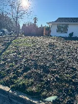 Ledezma Landscaping Llc photo 7