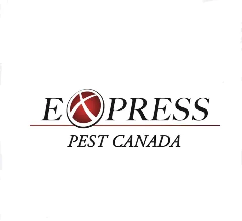 Express Pest Canada - Delta / Richmond in Delta