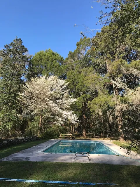 All Clear Pool and Spa Shop photo 1