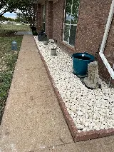 Works Pest Control Fort Worth photo 8