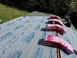 Boxwood Roofing and Restoration LLC photo 5