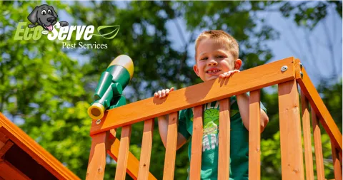 Eco Serve Pest Services in Buffalo