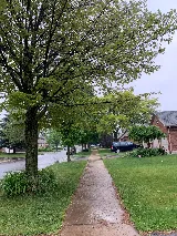 Yard Retreat photo 7