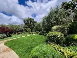 Organic Greens Landscapes & Maintenance photo 5