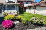 Quant Landscaping Inc. photo 2
