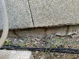 Guardian Pest Control photo 7