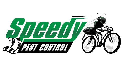 Speedy Pest Control in Mississauga