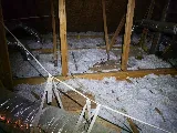 Haven Pest Solutions photo 4