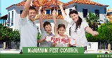 Maximum Pest Control Services. photo 7