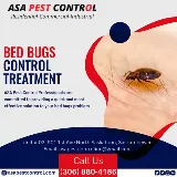 ASA Pest Control Inc photo 8