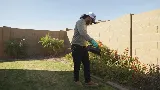 RAM Pest Management photo 6