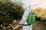 Trusted Spokane Pest Control photo 4