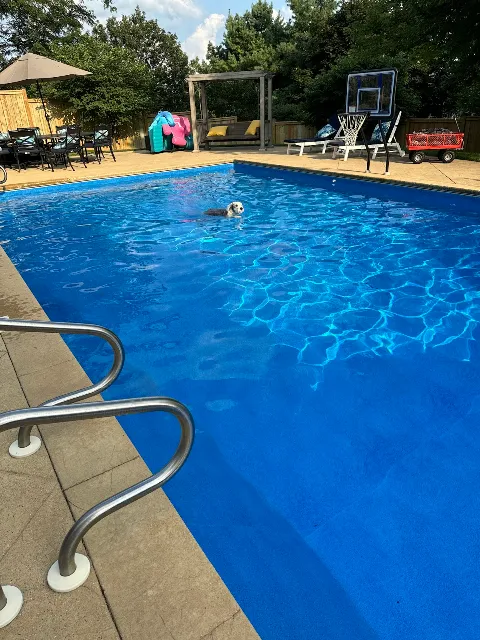 Malibu Pools photo 1