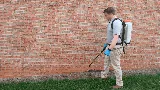 The Best Pest Control Solutions photo 8