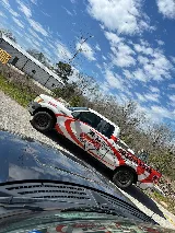Davis Exterminating Services photo 2