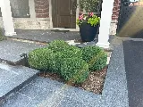 Lush Lawncare & Landscaping photo 8